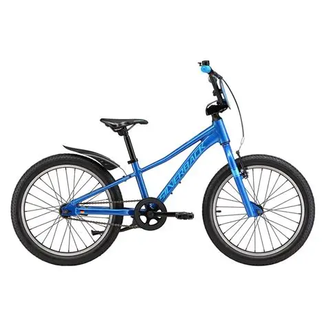 Silverback skid 20 blue bike gympie
